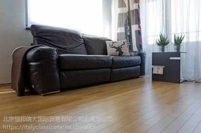 GALEKOVI?客廳實木地板,家的守護-有榮意大利之家